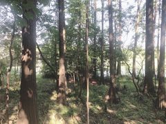 -东湖落雁景区