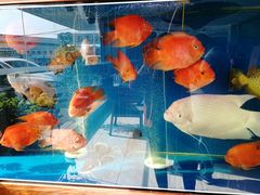 -大润发(勤业店)