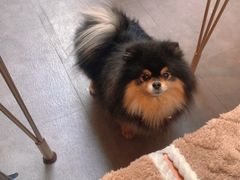 -沏点Trattoria意大利餐厅(新街口店)