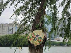 -天鹅湖体育公园