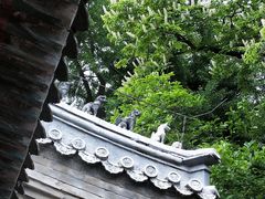 -潭柘寺景区