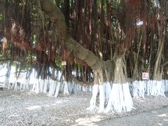 -胡里山炮台