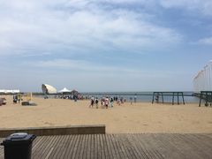 -碧海金沙