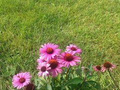 -长春公园(普阳街道)