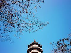 -古隆中景区