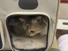 -艾贝尔宠物医院·狂犬免疫点(江山金象城店)