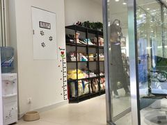 -宠物家(双井店)