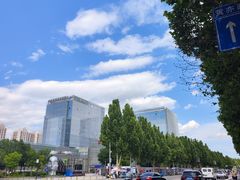 -金星公园