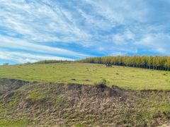 -塞罕坝国家级自然保护区