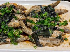 -丰食农家乐