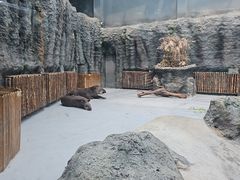 -武汉动物园