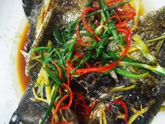 -长平老姿娘夜粥(平东一街店)