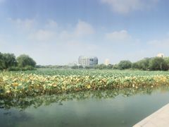 -东华大学(松江校区)