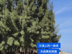 -坛南湾阿强农家乐.海鲜大排档老字号(福州地标美食店)