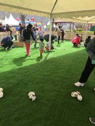 -萌宠亲子动物乐园(槐房万达店)