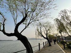 -无锡蠡湖国家湿地公园-蠡园