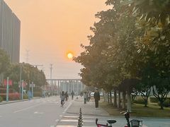 -安徽大学(磬苑校区)