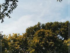 -东莞植物园