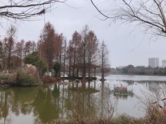 -浙江农林大学(东湖校区)