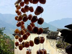 -塔川景区