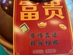 -粉灯牛腩牛杂煲·鸡煲(双井店)
