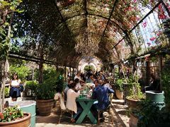 -The Grounds of Alexandria