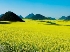畅游油菜花田-英西峰林·洞天仙境
