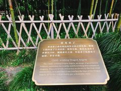 -杭州黄龙洞