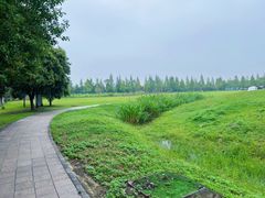 -滆湖低碳生态公园