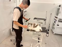 -comecome来吧宠物(奥克斯中心店)