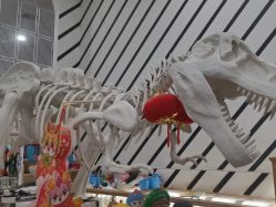 -宝燕乐园(春申店)