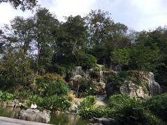 -金顺昌桂林桂花伴手礼(正阳一店)