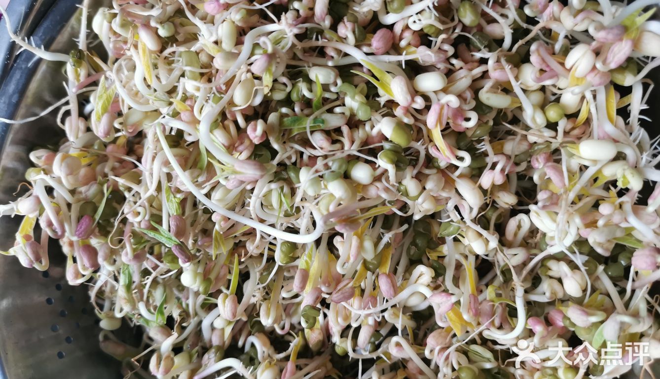 来个豆芽吧