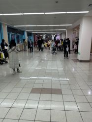 -上海交通大学医学院附属上海儿童医学中心(陆家嘴总院区)