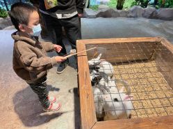 -酷嗒动物文化乐园(cutezoo西溪乐天城店)