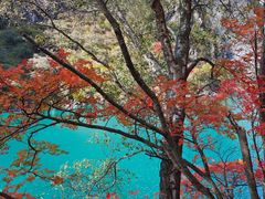 -叠溪松坪沟景区