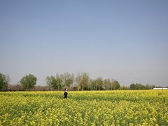 -汉长安城未央宫国家考古遗址公园