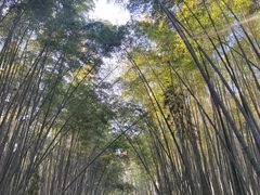 -同里国家湿地公园