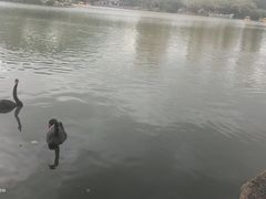 -珠海圆明新园