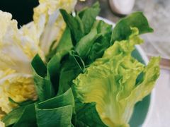 -探窝·竹笙椰子鸡(杨箕店)