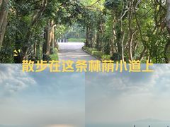 -小南山公园