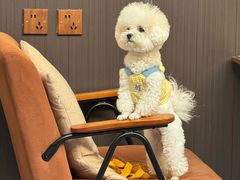 -沏点Trattoria意大利餐厅(新街口店)