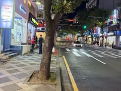 -宝健路步行街(Pedestrian Shopping Street)