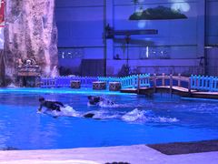 -华夏文旅海洋公园