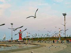 -东港音乐喷泉广场