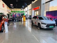-北京福铃丰瑞比亚迪4S店(花乡店)