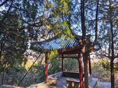 -香山公园