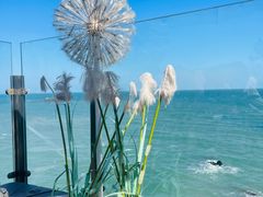 -红月湾海鲜饭店•沙滩海景(双月湾店)