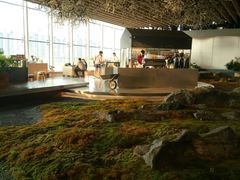 -Seesaw Coffee(朝阳大悦城店)