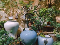 -溪岸路花鸟市场